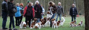 2012-04-07 Forum wandeling leenderheide