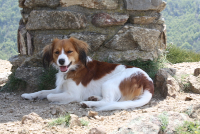 Famke in Frankrijk 2009