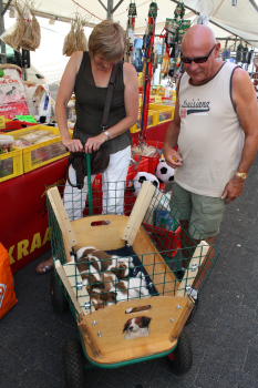 Pups op de markt