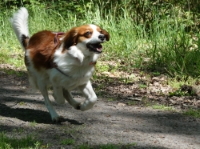 Lobke in actie juni 2019