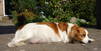 Silke even lekker in de zon