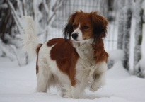 Famke