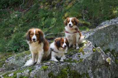 Camiel, dieke en Lobke Sept 2017