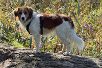 Hillie sept 2025